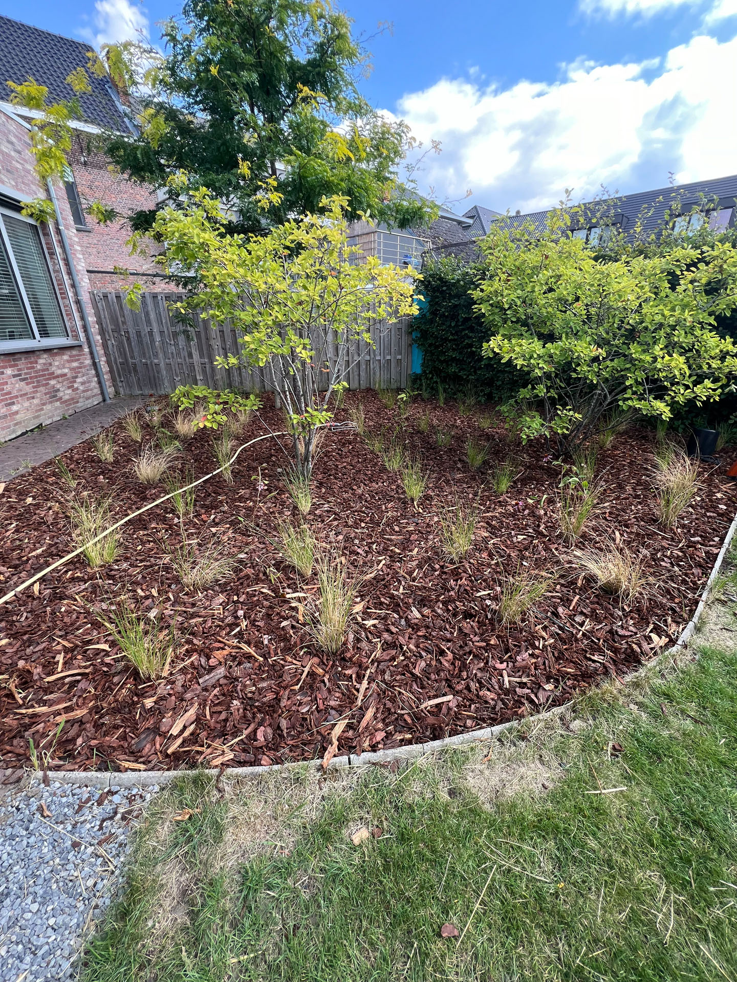 Project Image /images/projecten/16 Project A - Londerzeel/07.jpg